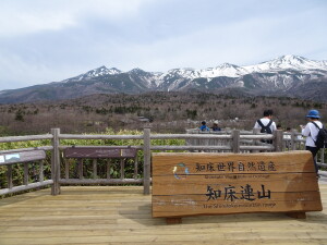 5日目　連山展望台からみる知床連山